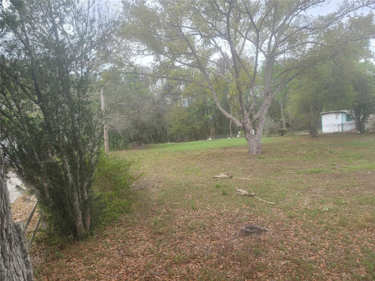 11641 Bruin Drive, New Port Richey, FL 34654 Photo