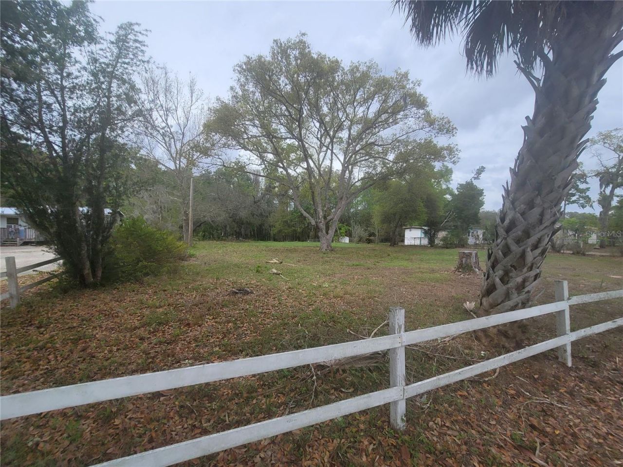11641 Bruin Drive, New Port Richey, FL 34654 Photo