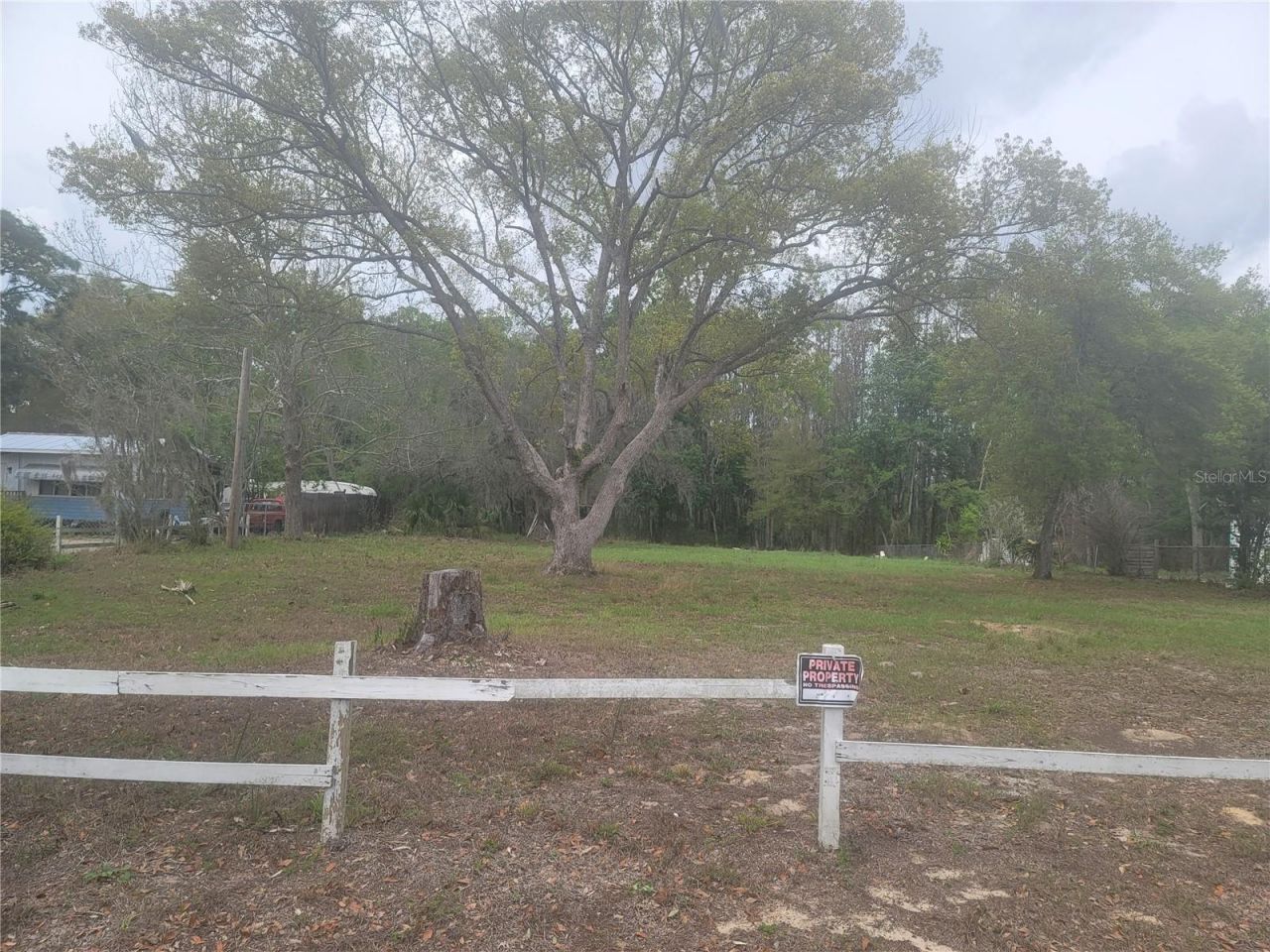 11641 Bruin Drive, New Port Richey, FL 34654 Photo