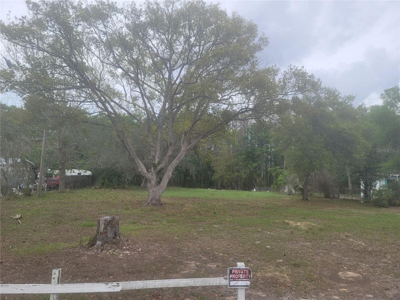 11641 Bruin Drive, New Port Richey, FL 34654 Photo