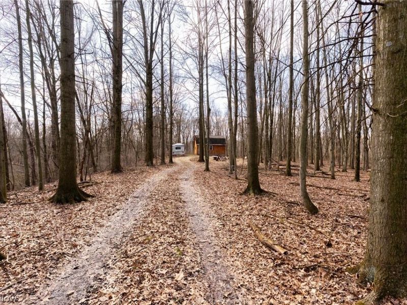 22681 Lexington Road, Alliance, OH 44601 Photo 16