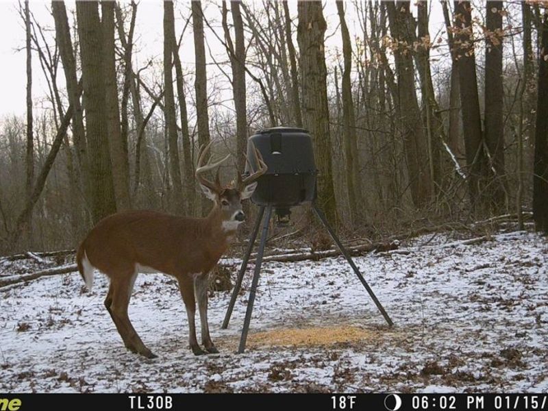 22681 Lexington Road, Alliance, OH 44601 Photo 2