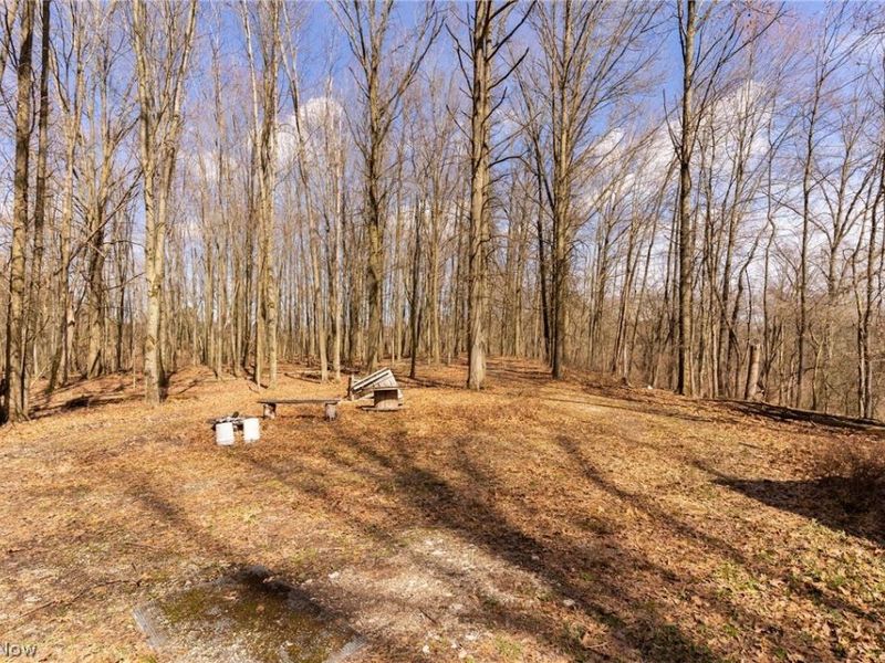 22681 Lexington Road, Alliance, OH 44601 Photo 20