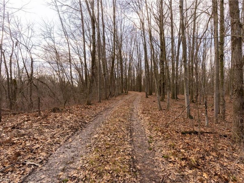 22681 Lexington Road, Alliance, OH 44601 Photo 22