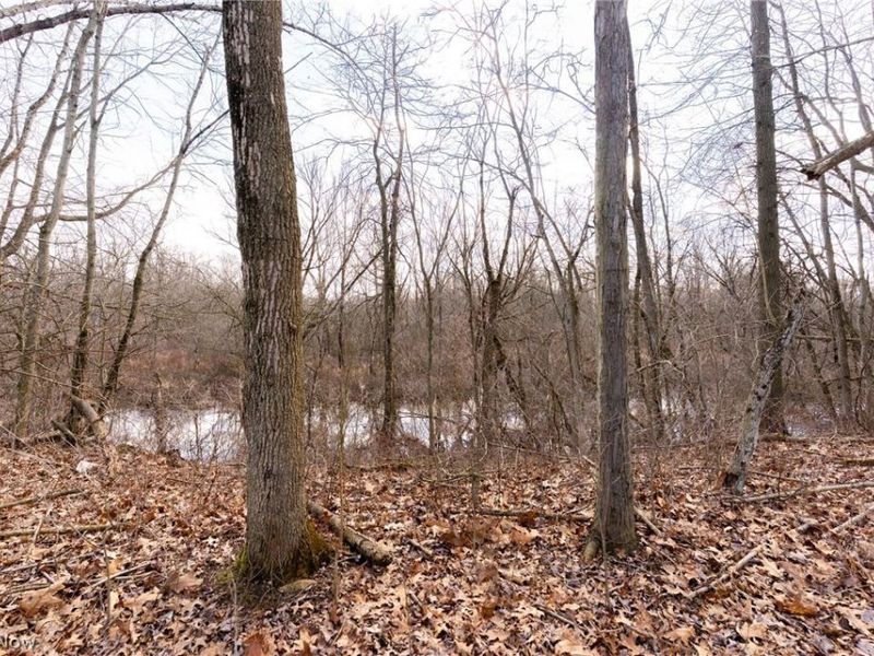 22681 Lexington Road, Alliance, OH 44601 Photo 23