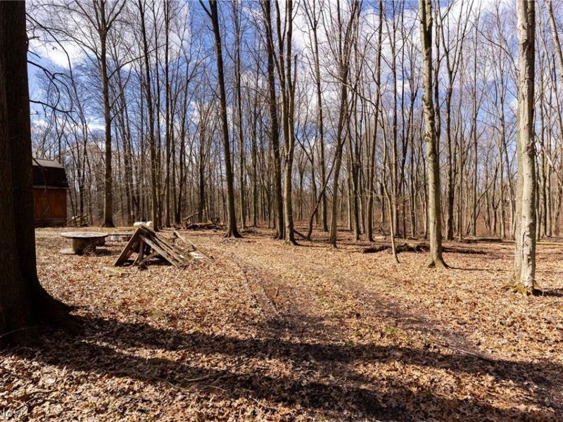 22681 Lexington Road, Alliance, OH 44601 Photo 27