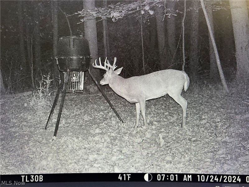 22681 Lexington Road, Alliance, OH 44601 Photo 3