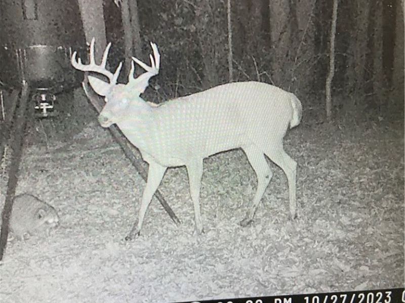 22681 Lexington Road, Alliance, OH 44601 Photo 4