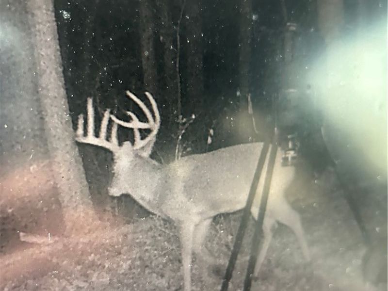 22681 Lexington Road, Alliance, OH 44601 Photo 5