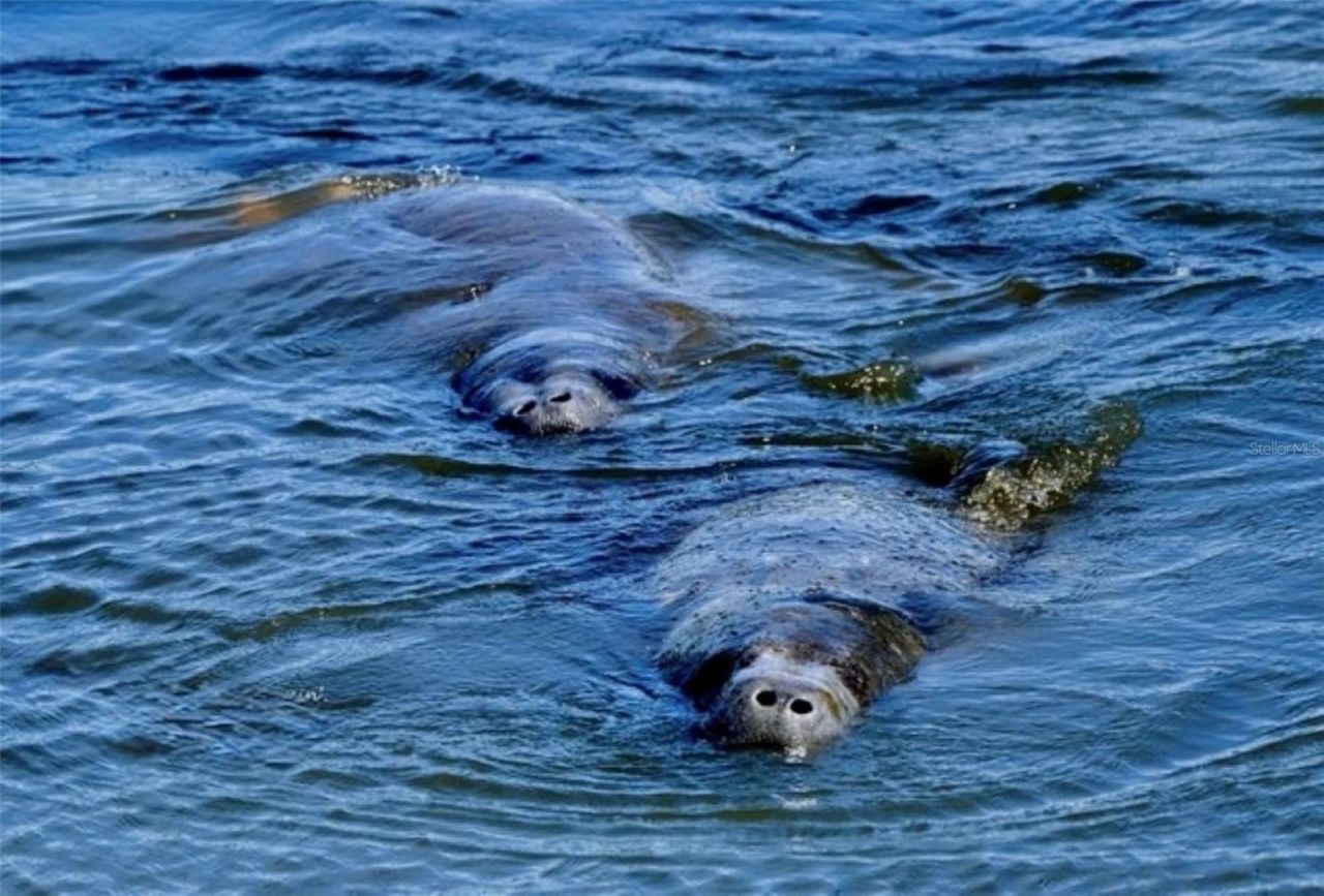 4405 Mount Vernon Drive , Bradenton, FL 34210 Photo