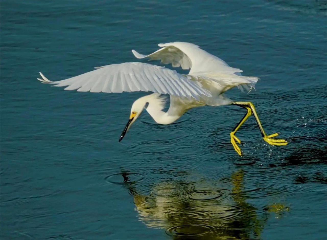 4405 Mount Vernon Drive , Bradenton, FL 34210 Photo