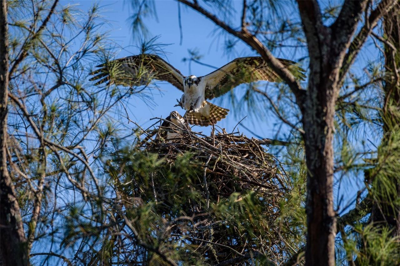 4405 Mount Vernon Drive , Bradenton, FL 34210 Photo