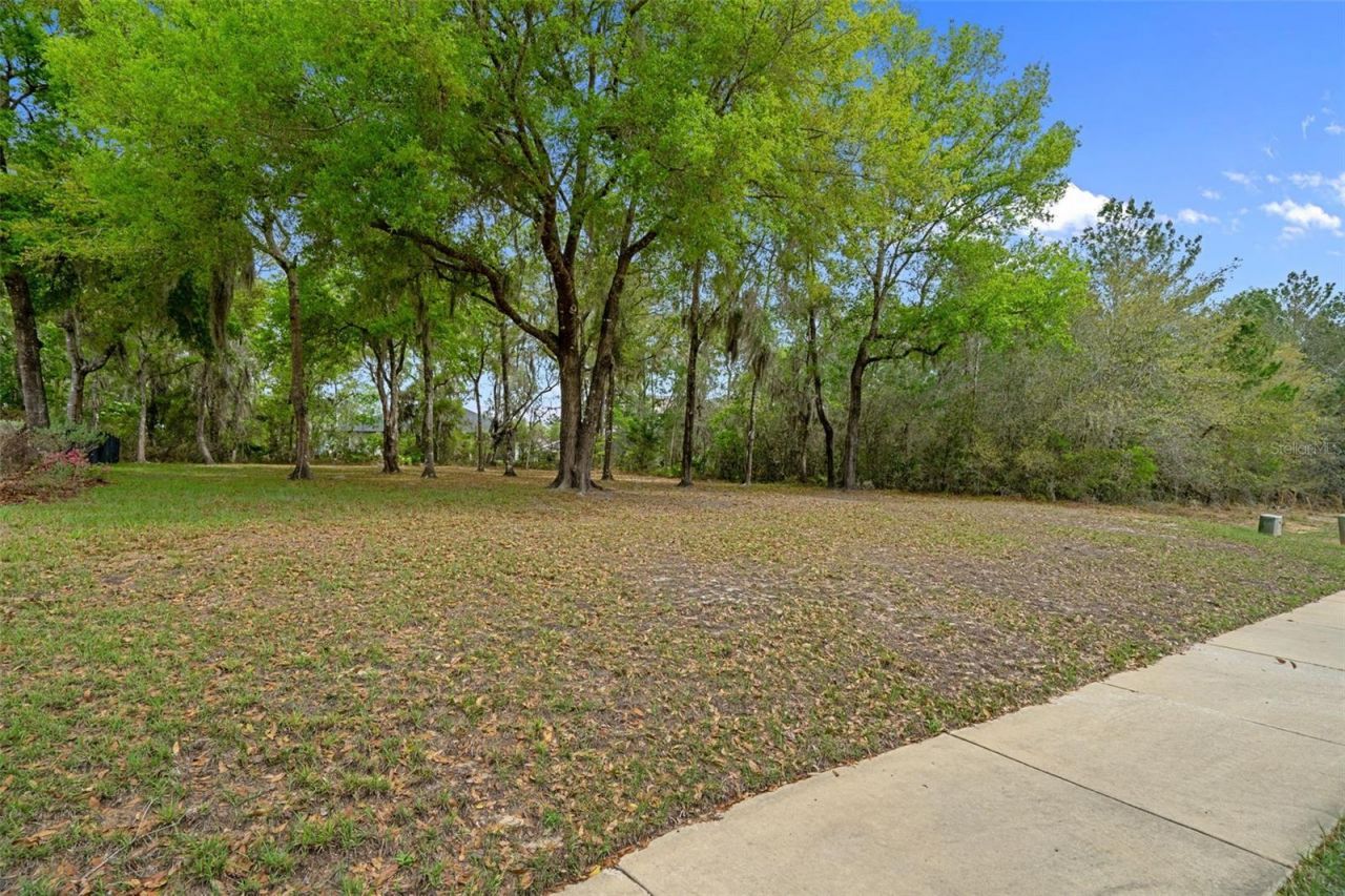 6096 Dusk Rose Lane , Brooksville, FL 34601 Photo