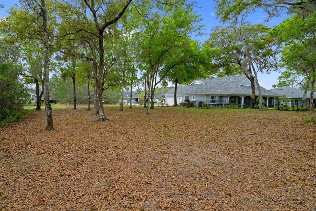 6096 Dusk Rose Lane , Brooksville, FL 34601 Photo