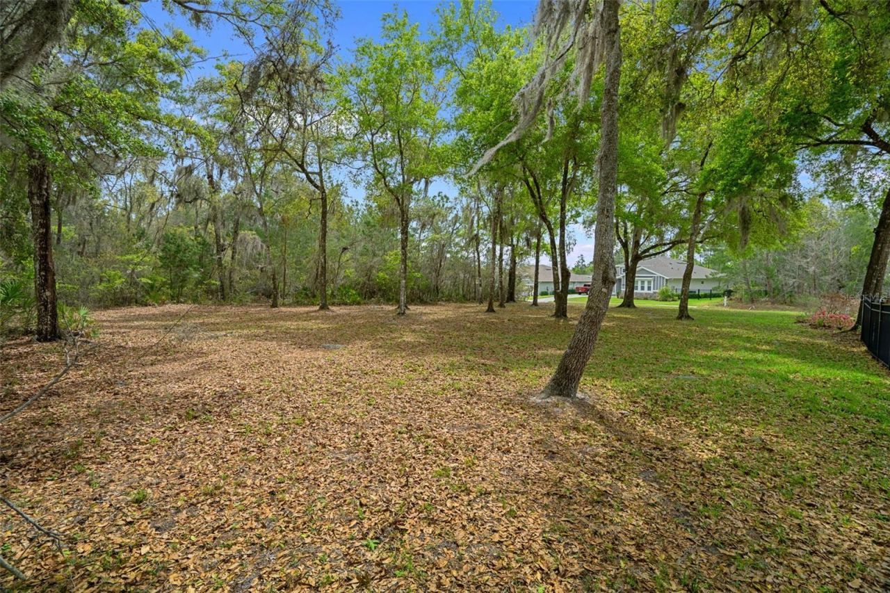 6096 Dusk Rose Lane , Brooksville, FL 34601 Photo