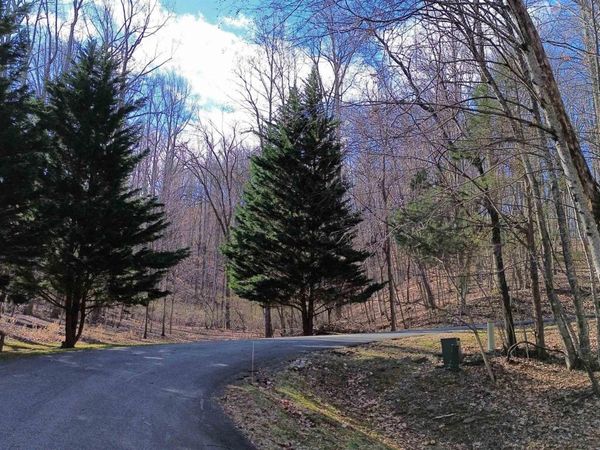 TBD OAKCREST LN, Nellysford, VA 22958