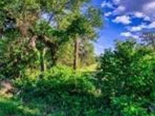 12121 Fm 32 , Fischer, TX 78623