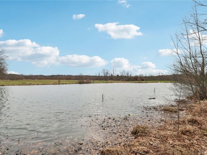 11981 Clay Street, Huntsburg, OH 44046 Photo 46