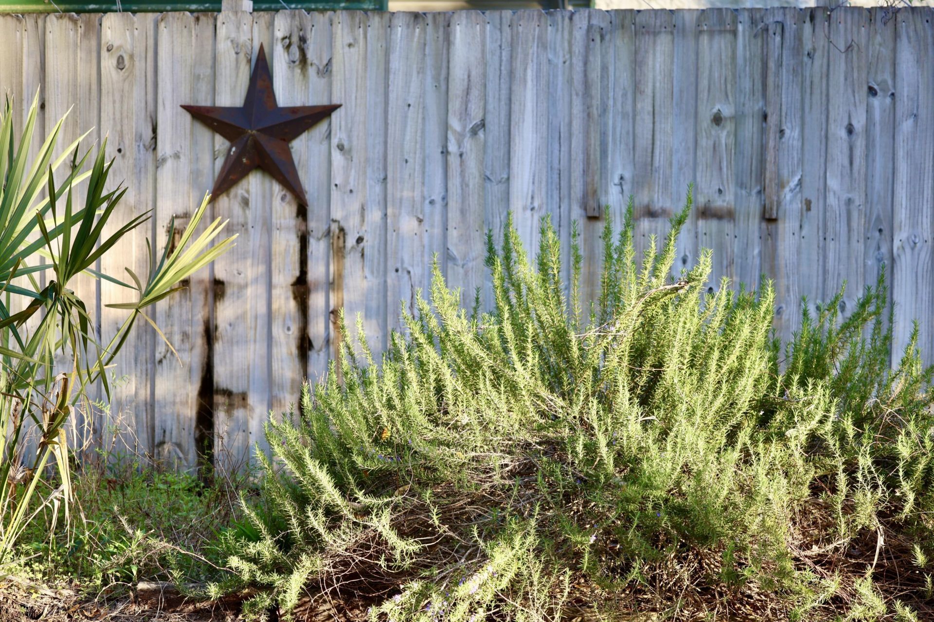 4559 Smoak Road Photo 22