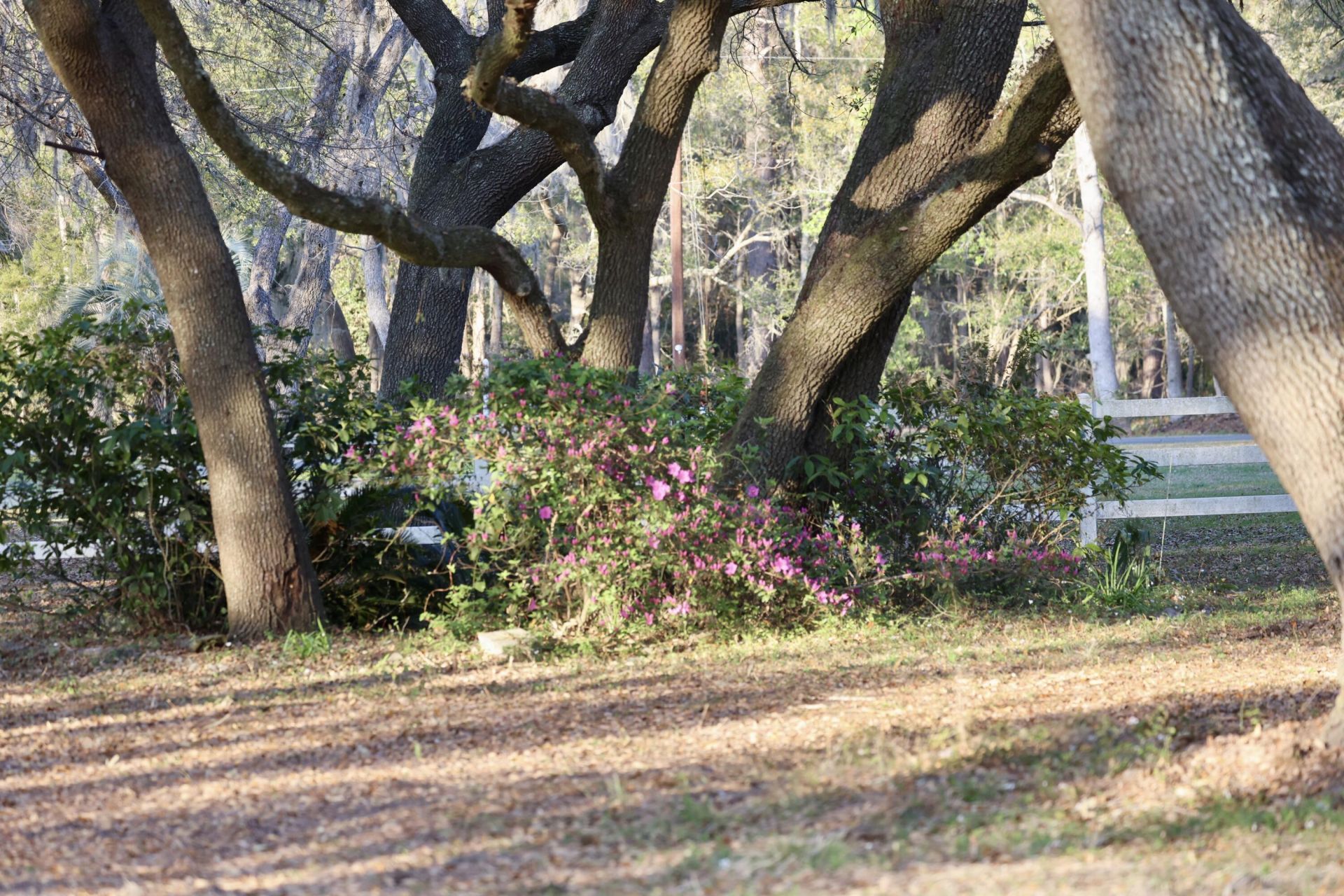 4559 Smoak Road Photo 23