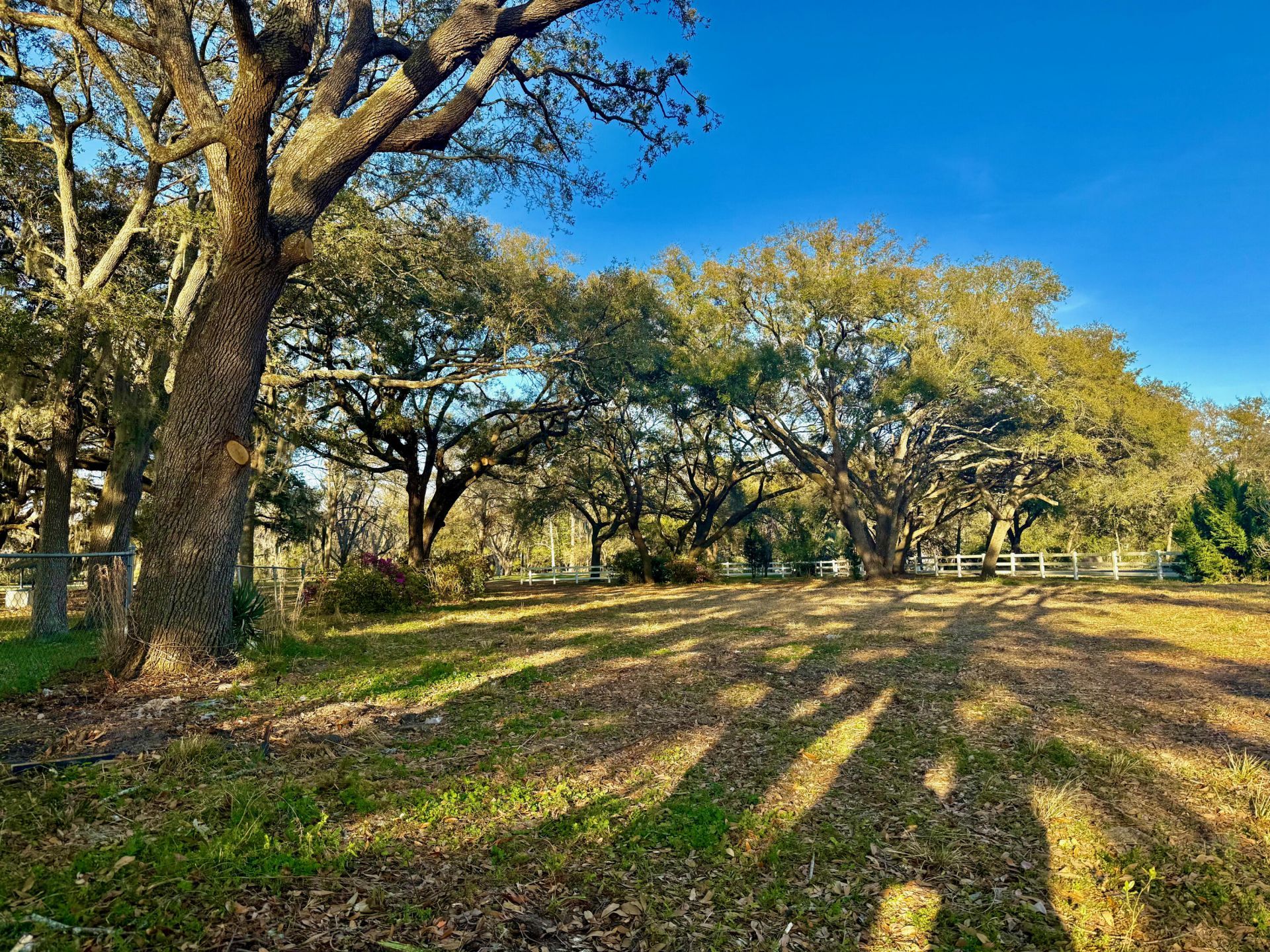 4559 Smoak Road Photo 5