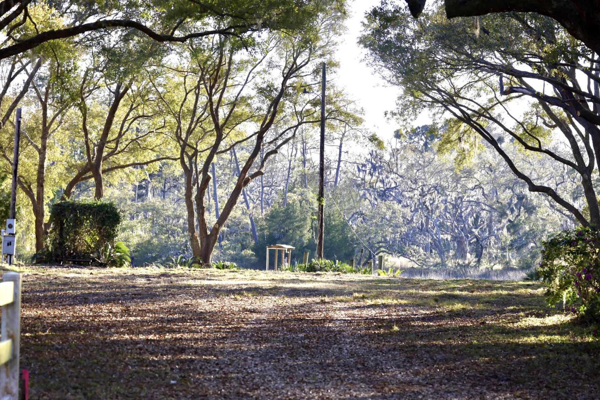 4559 Smoak Road Photo 7