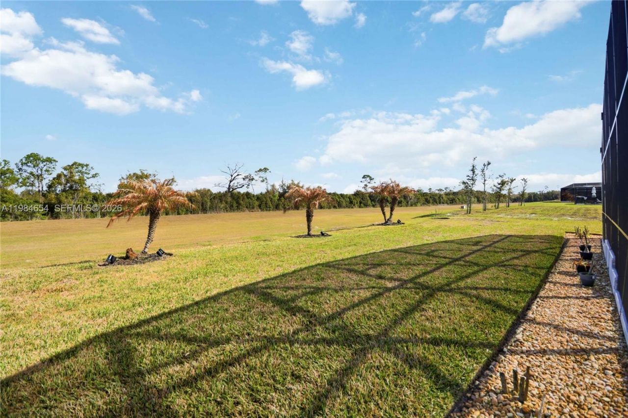 6017 Sierra Crown St, Mount Dora, FL 32757 Photo