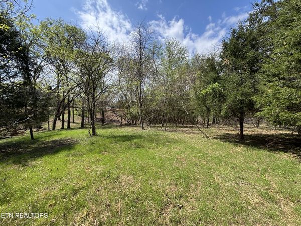 E Shore Drive, Rockwood, TN 37854