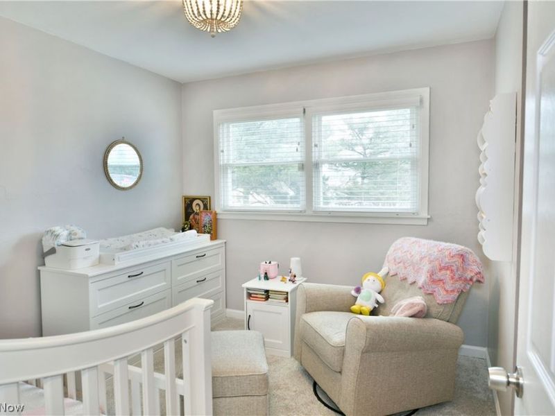 203 Aldrich Road, Austintown, OH 44515 Photo 32