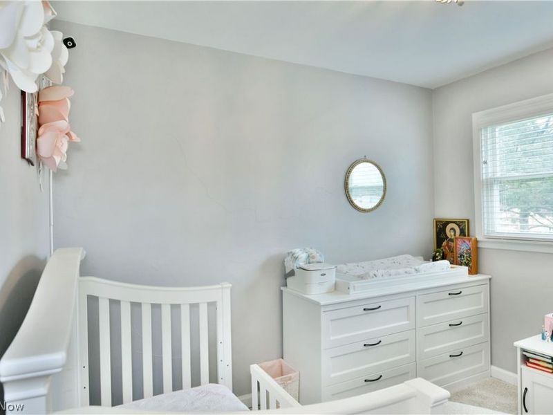 203 Aldrich Road, Austintown, OH 44515 Photo 33