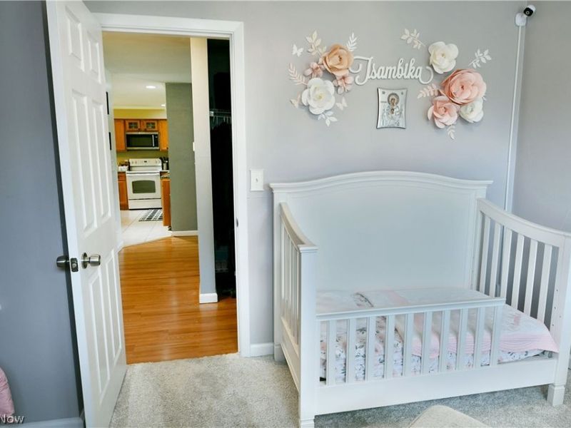 203 Aldrich Road, Austintown, OH 44515 Photo 35