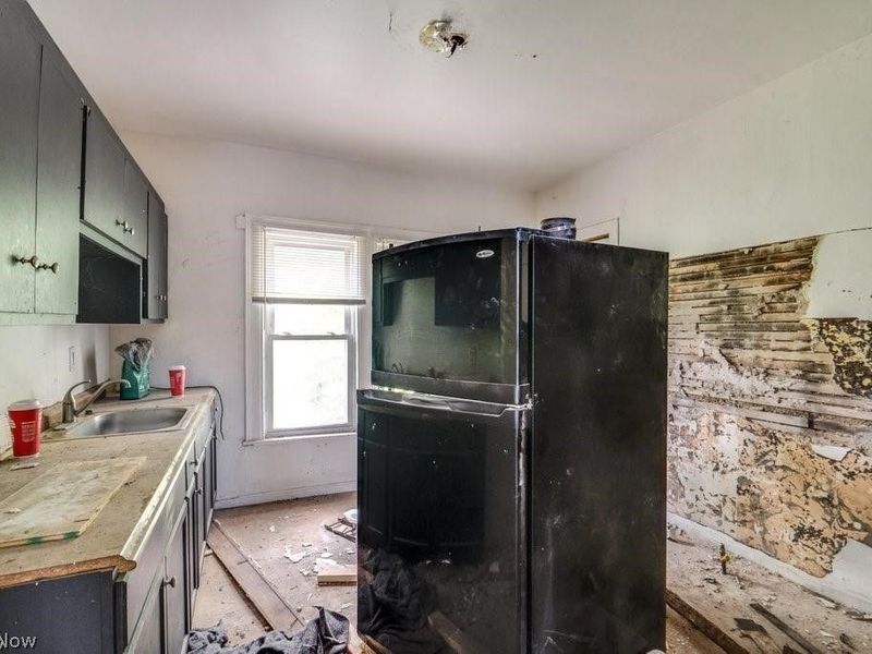 1140 E 113th Street, Cleveland, OH 44108 Photo 6