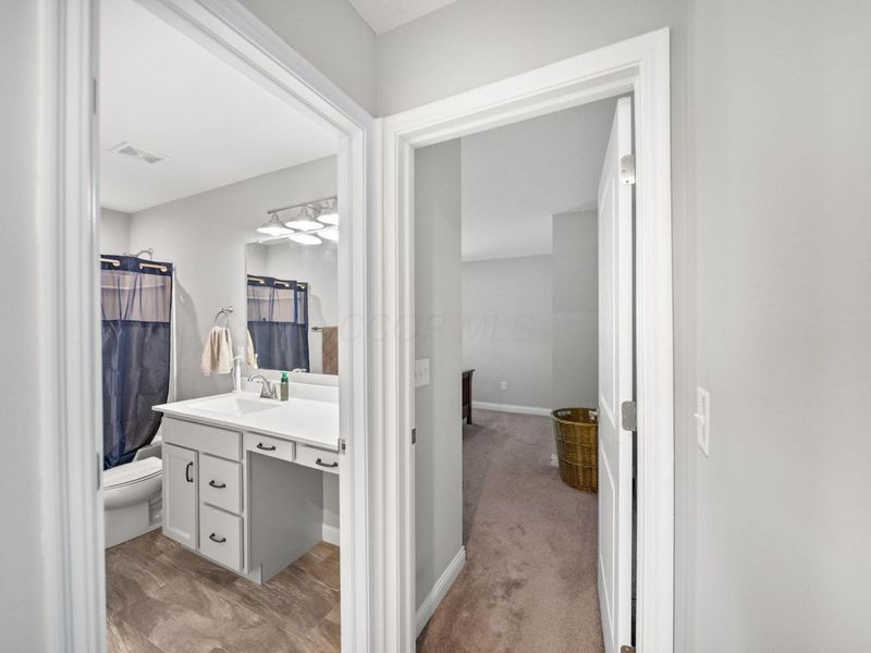 3780 Aviary Loop, Hilliard, OH 43026 Photo 46