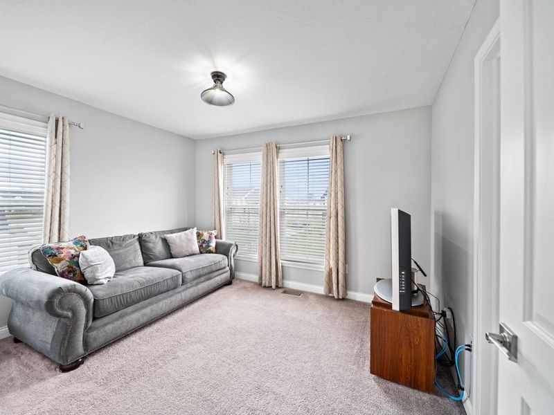 3780 Aviary Loop, Hilliard, OH 43026 Photo 75