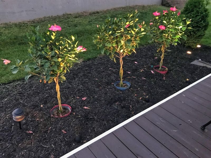 1137 Apple Valley Drive , Howard, OH 43028 Photo 36