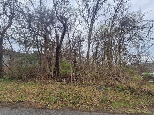 415 JERSEY ST, STAUNTON, VA 24401