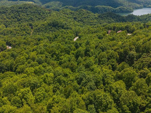Lot 187 Cottage Lane, New Tazewell, TN 37825