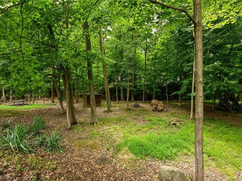 936 Smokerise Drive, Medina, OH 44256 Photo 14