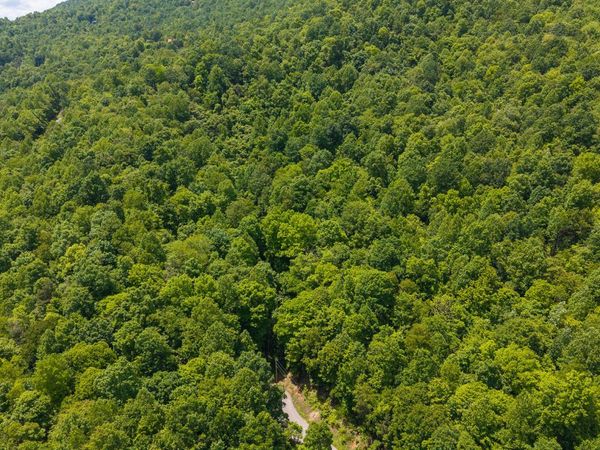 Lot 187 Cottage Lane, New Tazewell, TN 37825