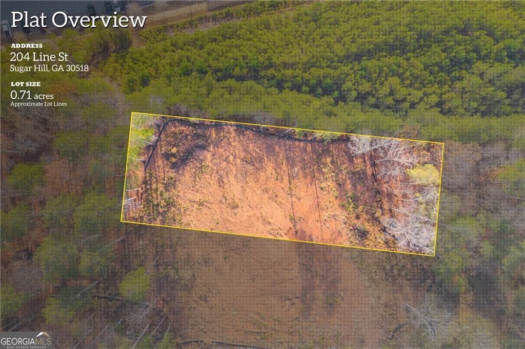 204 Line Street, Buford, GA 30518 Main Photo