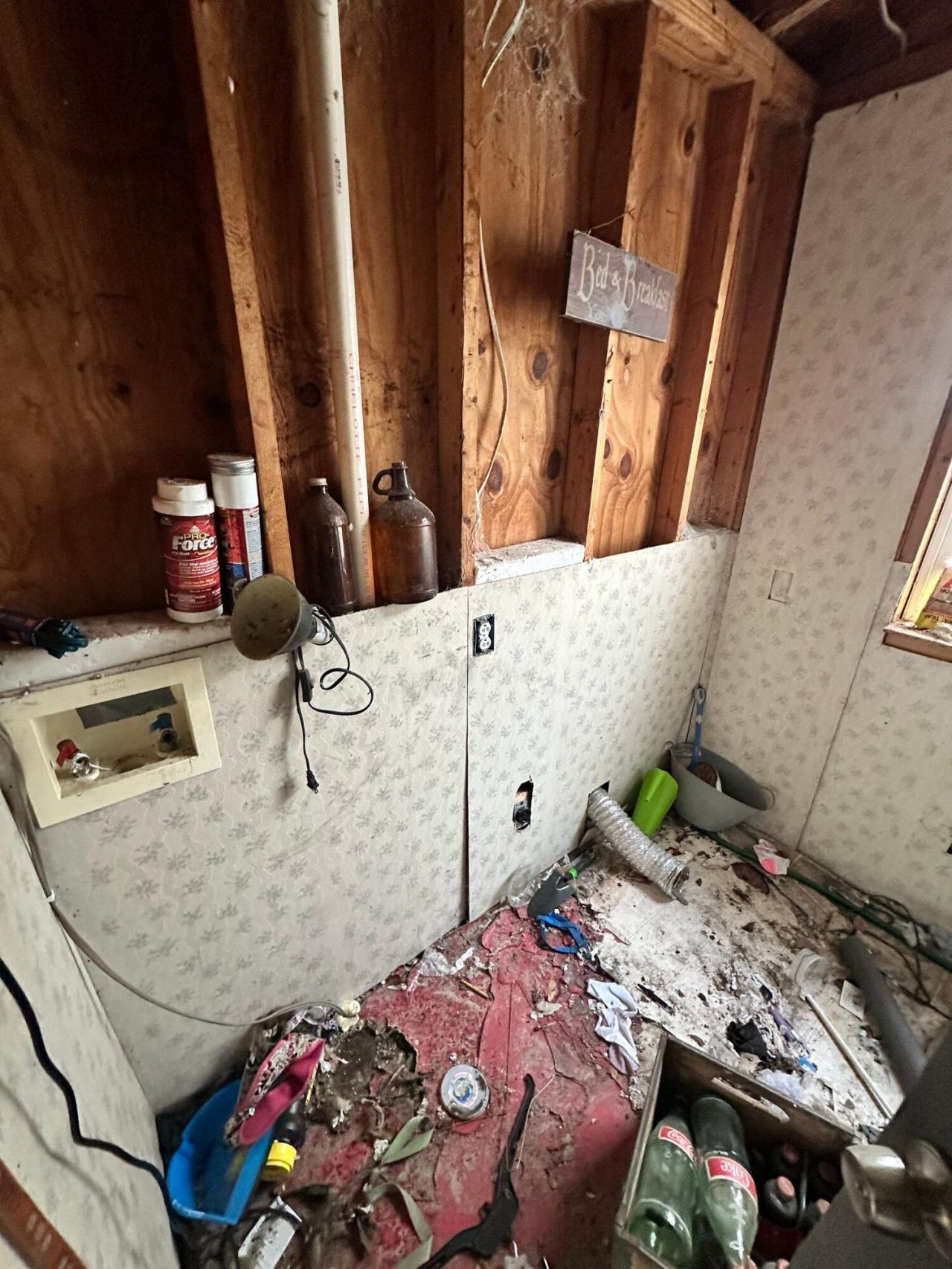 916 Leonard Drive Photo 19