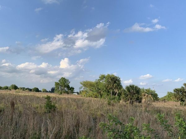 20637 Simone Drive, Loxahatchee, FL 33470