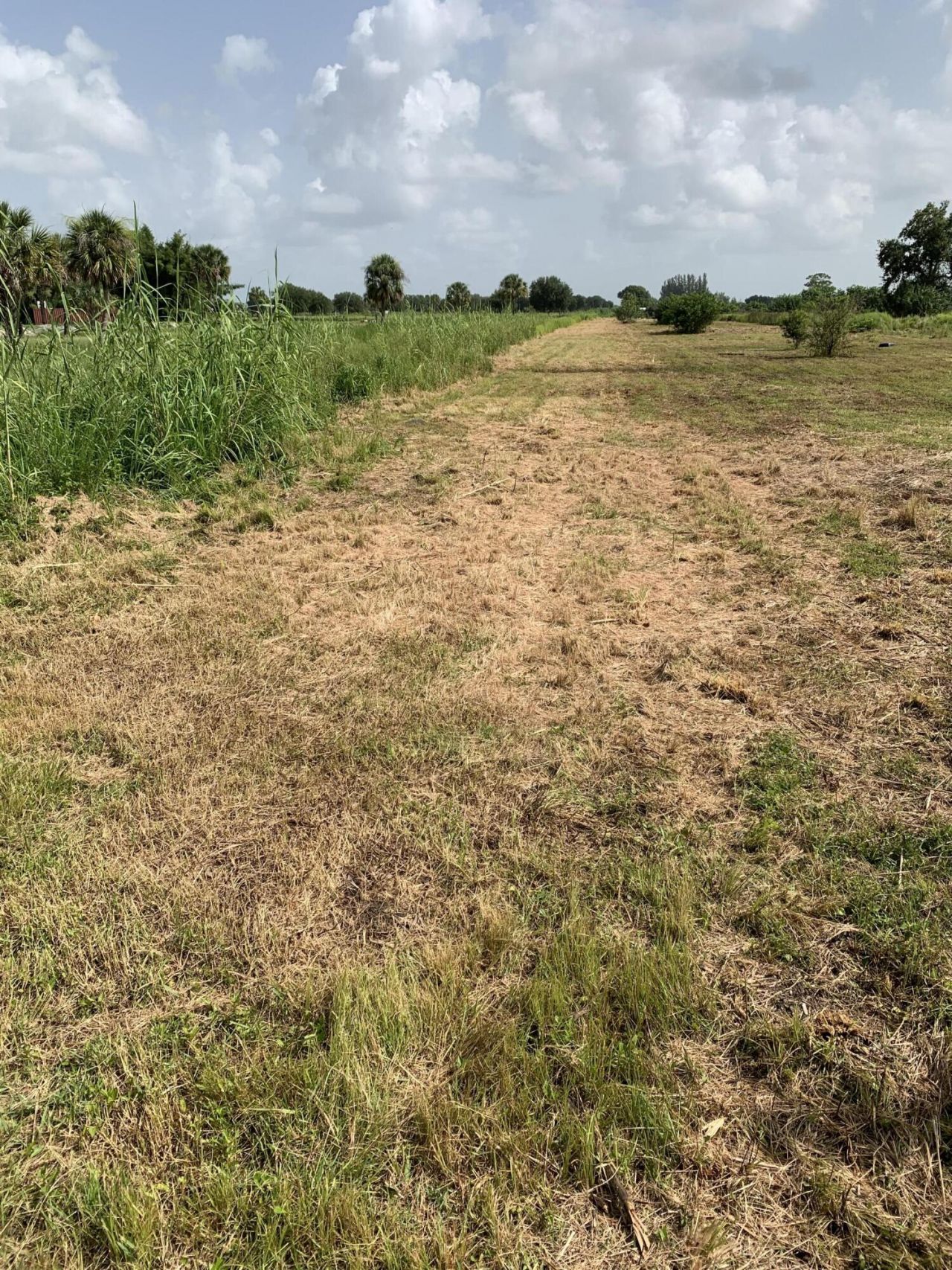20637 Simone Drive, Loxahatchee, FL 33470 Photo