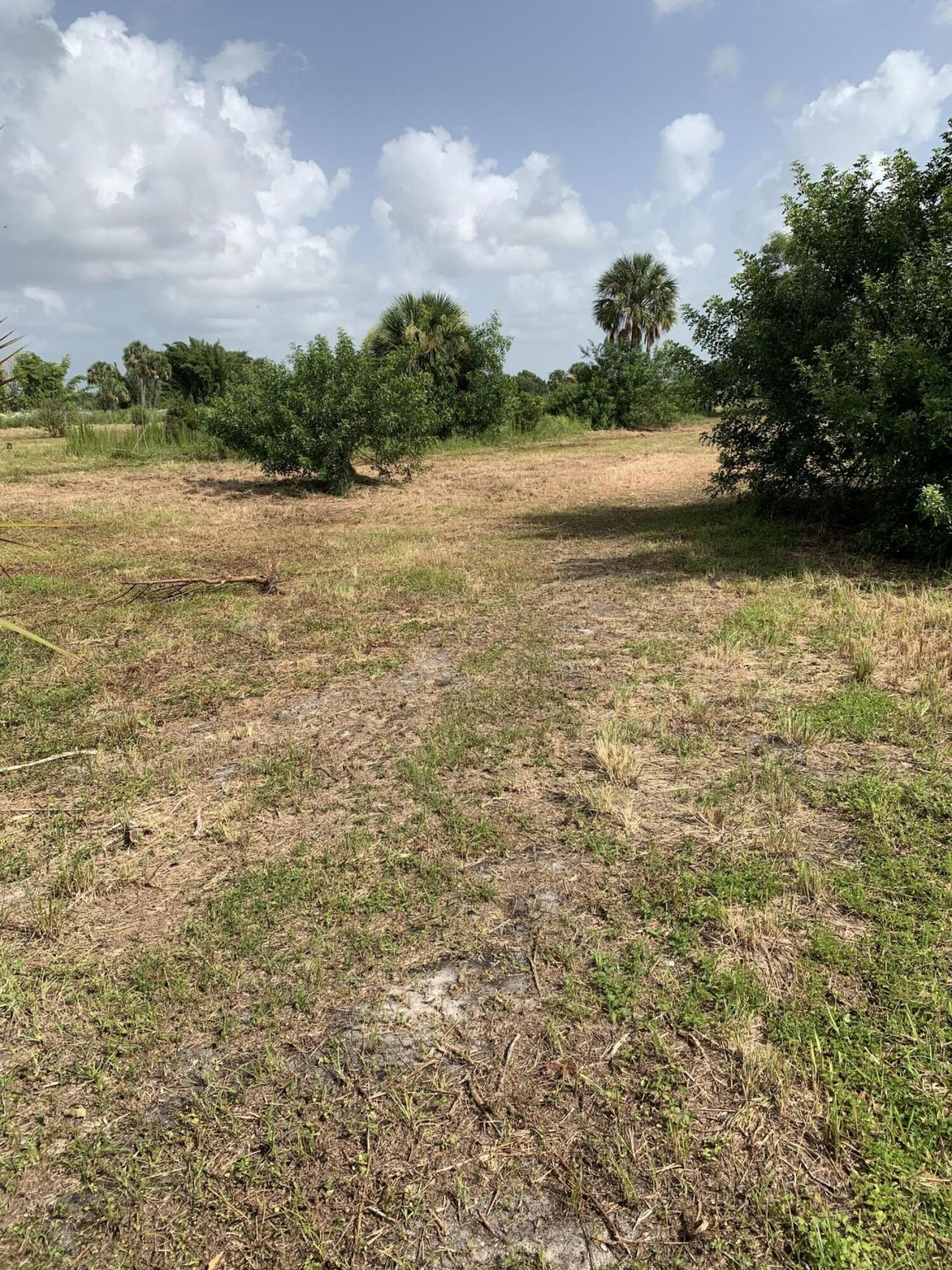 20637 Simone Drive, Loxahatchee, FL 33470 Photo