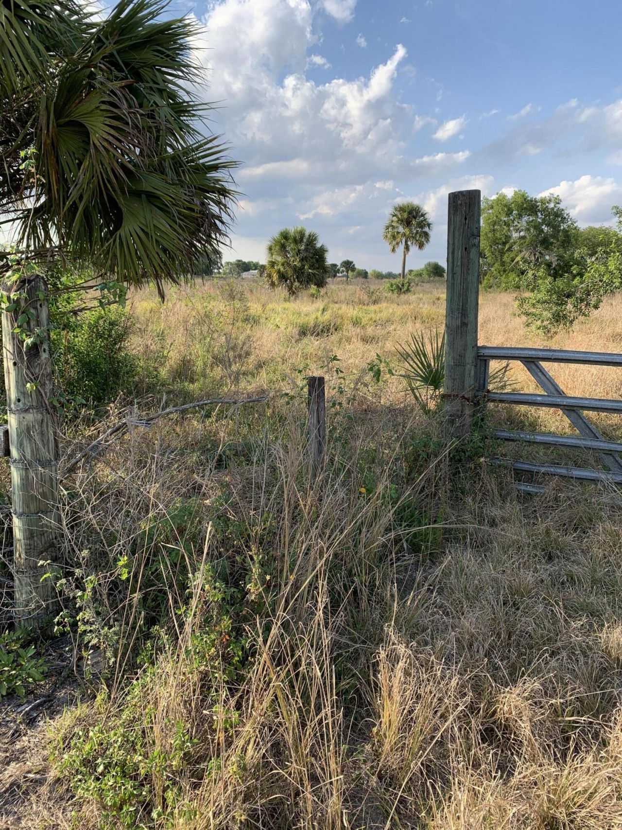 20637 Simone Drive, Loxahatchee, FL 33470 Photo