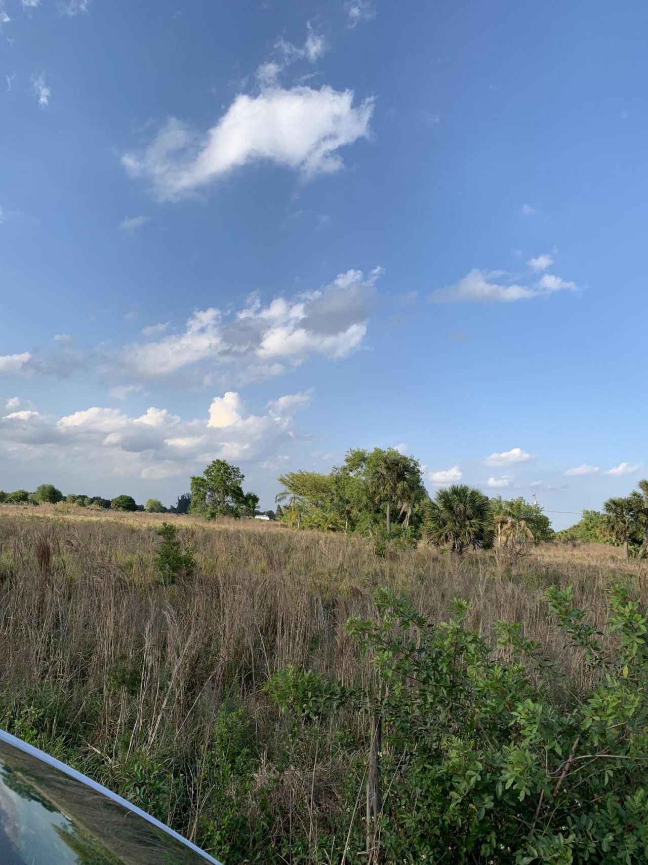 20637 Simone Drive, Loxahatchee, FL 33470 Photo