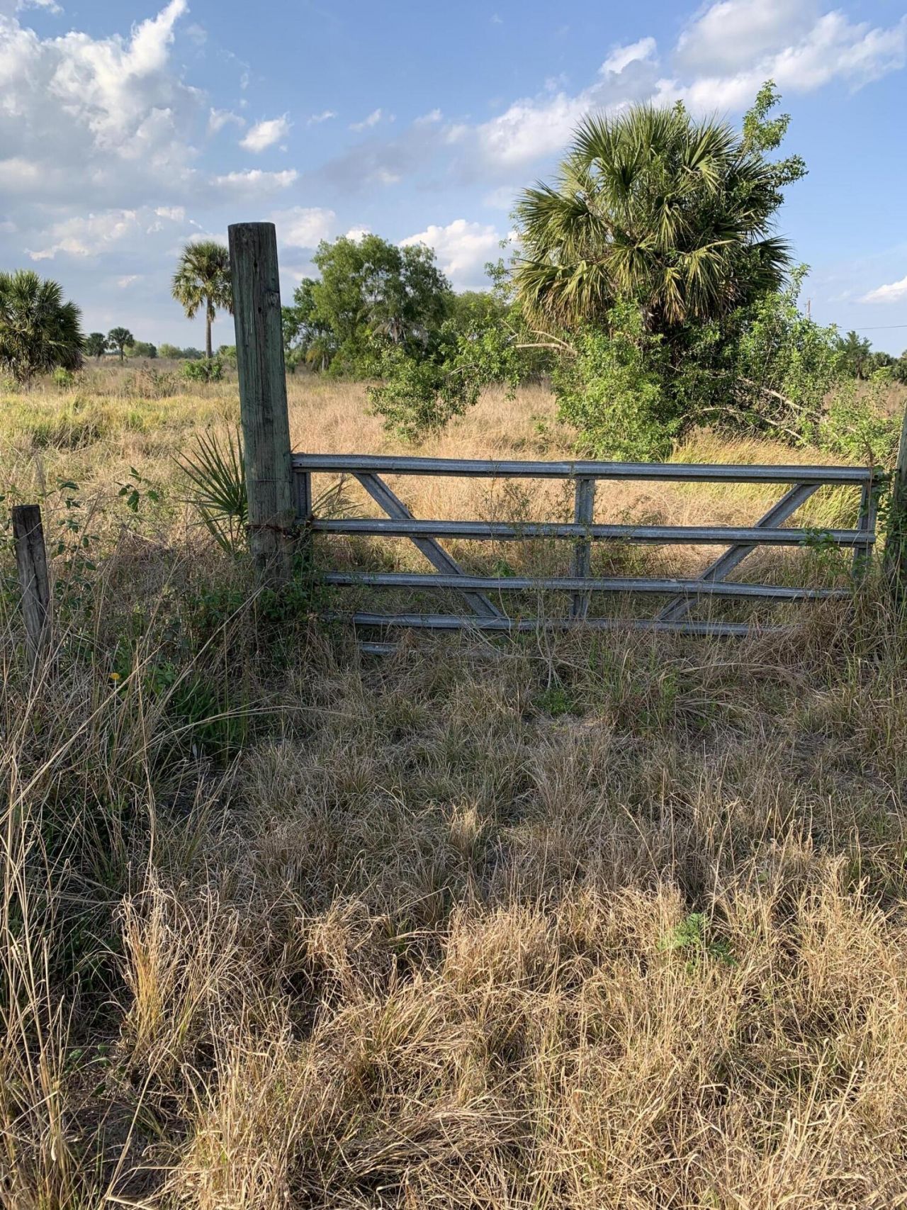 20637 Simone Drive, Loxahatchee, FL 33470 Photo