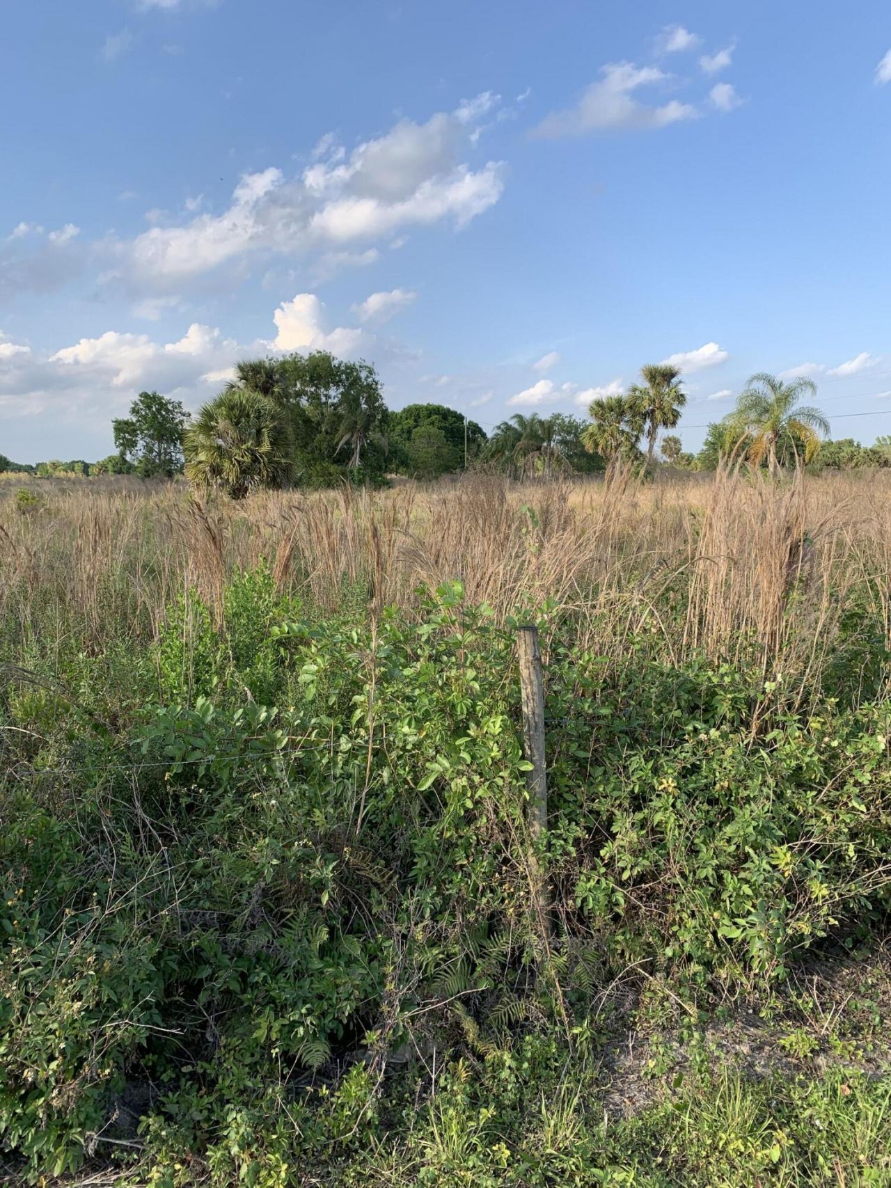 20637 Simone Drive, Loxahatchee, FL 33470 Photo