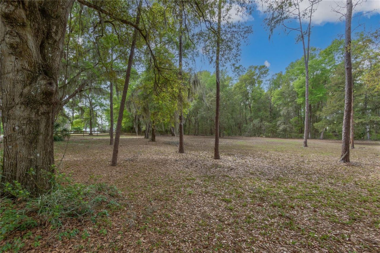 1905 Myrtle Lake Avenue , Fruitland Park, FL 34731 Photo