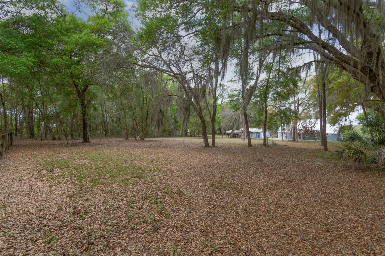 1905 Myrtle Lake Avenue, Fruitland Park, FL 34731 Photo
